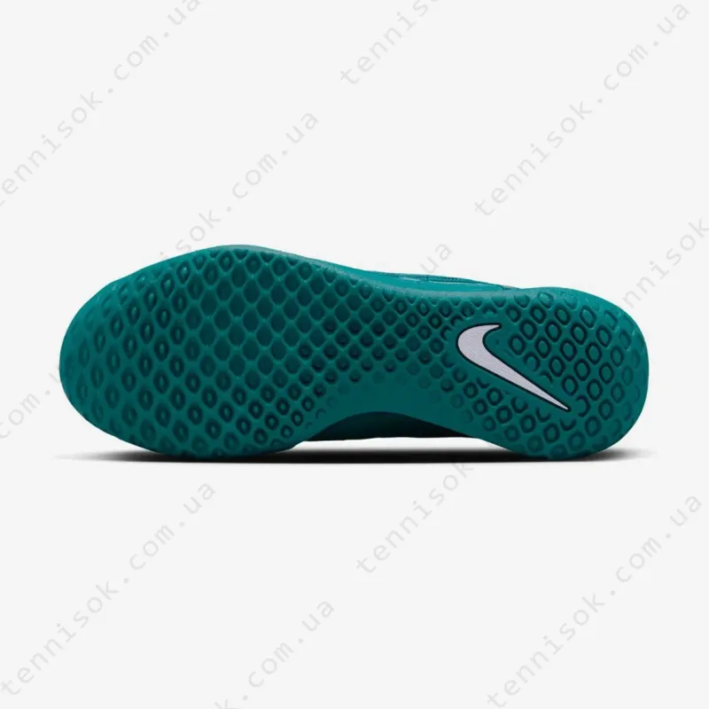 Теннисные кроссовки Nike Court Zoom NXT HC DV3276-301