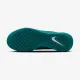 Теннисные кроссовки Nike Court Zoom NXT HC DV3276-301