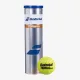 Тенісні м'ячі Babolat Team Clay 4ball