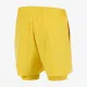 Теннисные шорты Nike Court Slam Dri-Fit FD5284-709