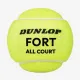 Теннисные мячи Dunlop Fort All Court 3ball