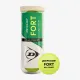 Теннисные мячи Dunlop Fort All Court 3ball