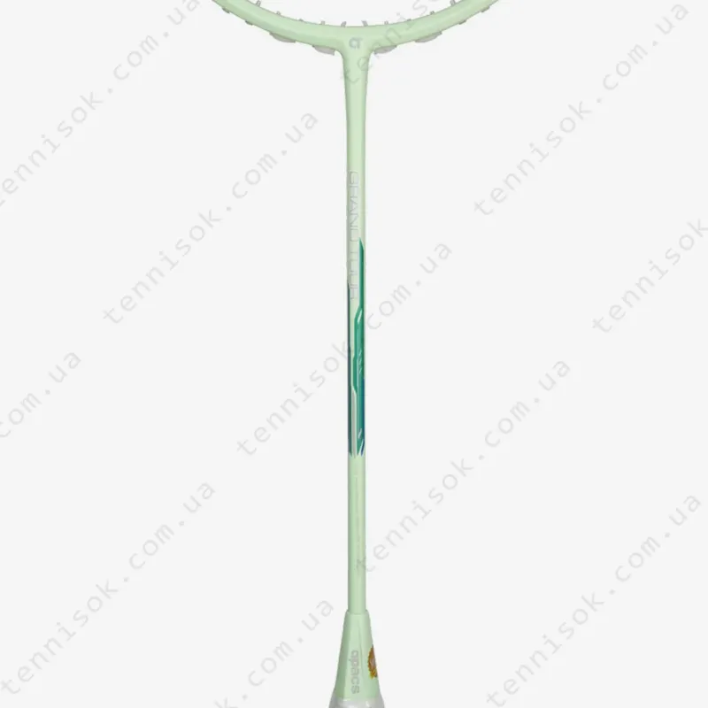 Ракетки для бадмінтону Apacs Grand Tour Mint Green (Matte)