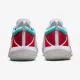 Тенісні кросівки Nike Court Zoom NXT HC DH0222-136