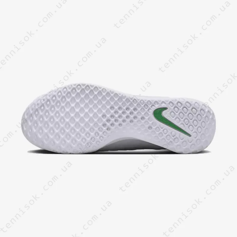 Тенісні кросівки Nike Court Zoom NXT HC DV3276-102
