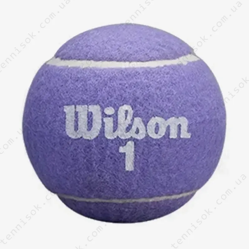 Теннисные мячи Wilson Aqualuna All Court Violet 2ball