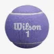 Теннисные мячи Wilson Aqualuna All Court Violet 2ball