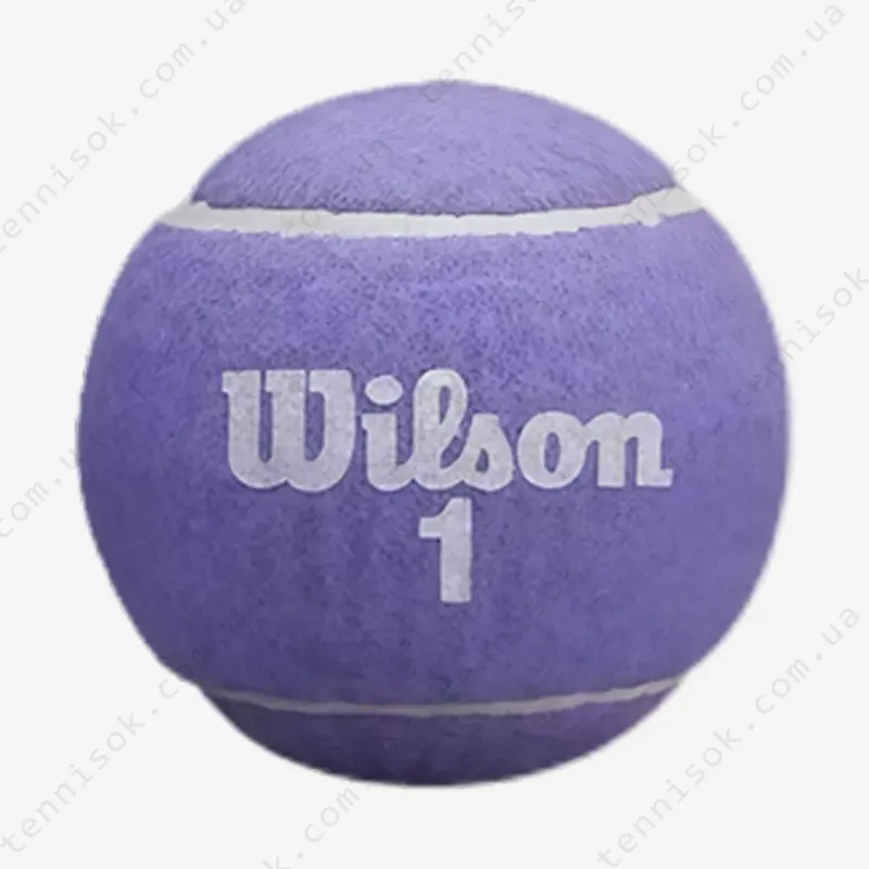 Теннисные мячи Wilson Aqualuna All Court Violet 2ball