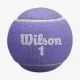 Теннисные мячи Wilson Aqualuna All Court Violet 2ball