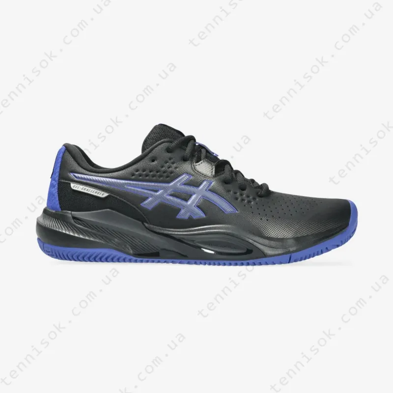 Теннисные кроссовки Asics Gel-Challenger 15 Clay 1041A508-001
