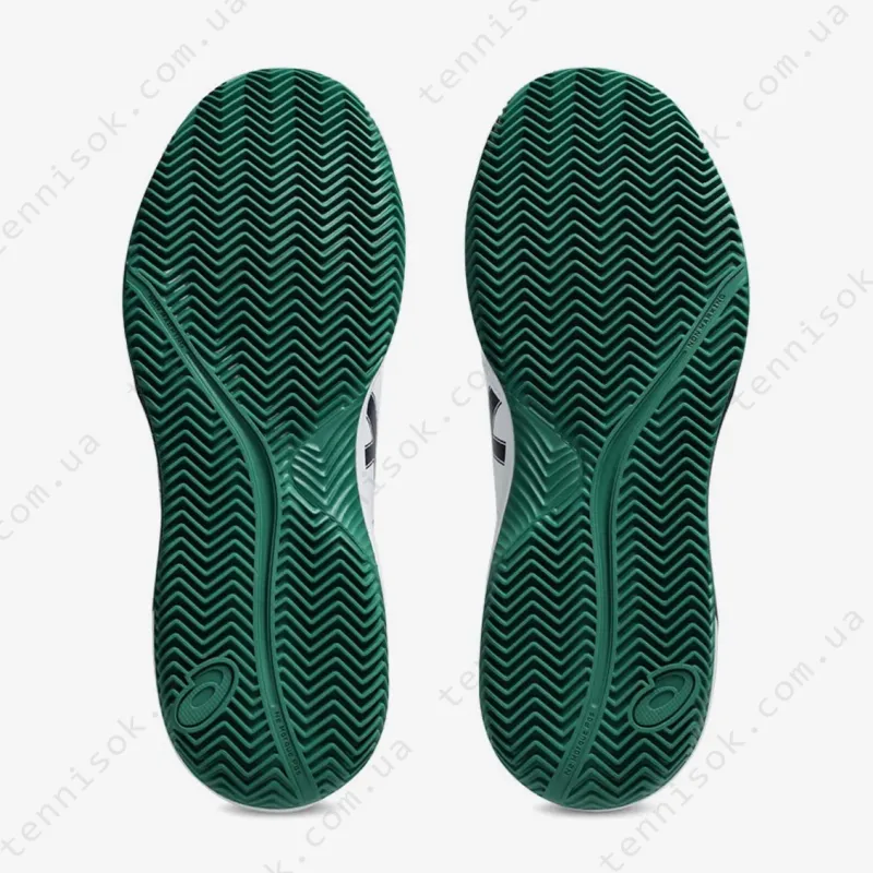 Тенісні кросівки Asics Gel-Dedicate 8 Clay 1041A448-105