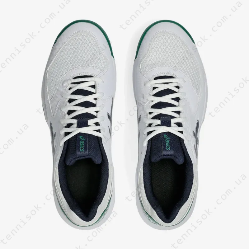 Тенісні кросівки Asics Gel-Dedicate 8 Clay 1041A448-105