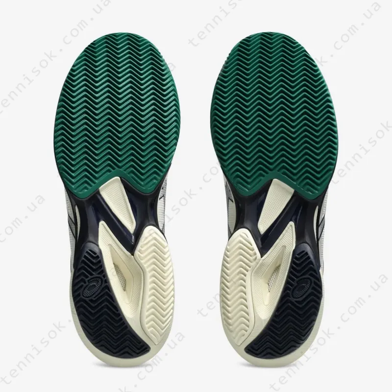 Тенісні кросівки Asics Solution Speed FF 3 Clay 1041A437-104