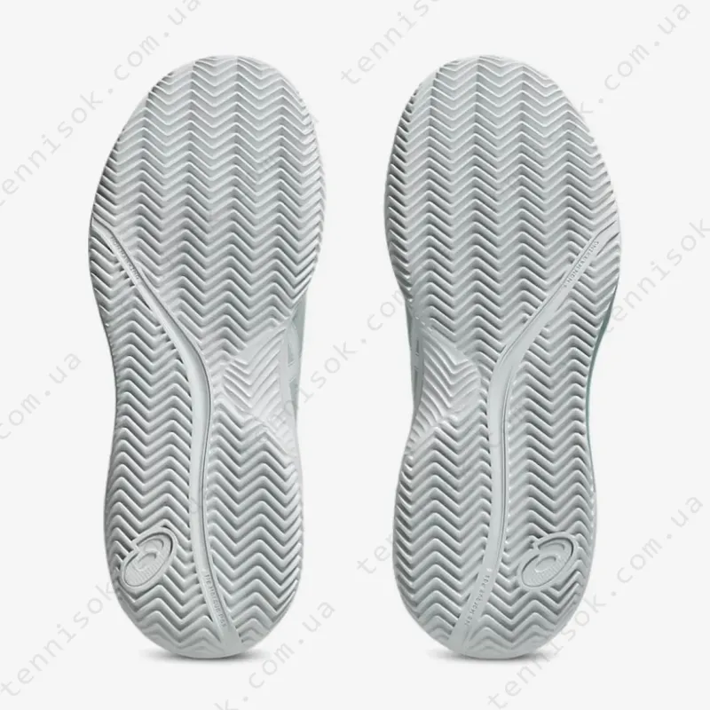 Тенісні кросівки Asics Gel-Dedicate 8 Clay 1042A255-300