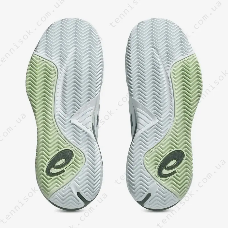 Тенісні кросівки Asics Gel-Resolution X Clay 1042A277-102