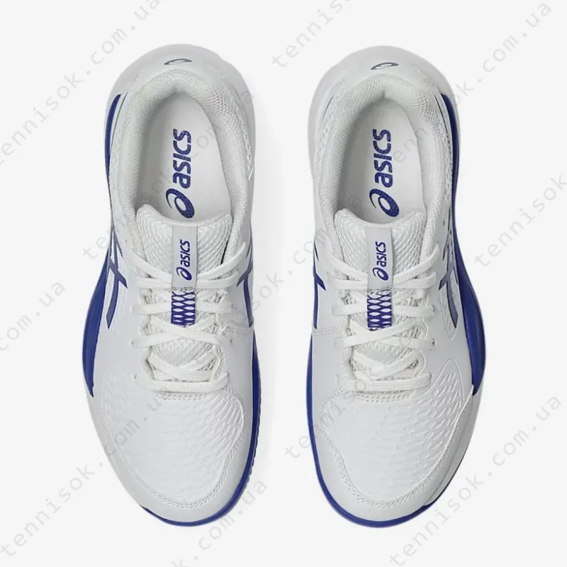 Тенісні кросівки Asics Gel-Resolution X GS Clay 1044A080-100