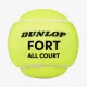Теннисные мячи Dunlop Fort All Court 4ball