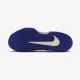 Тенісні кросівки Nike Zoom GP Challenge Pro HC HJ6767-500
