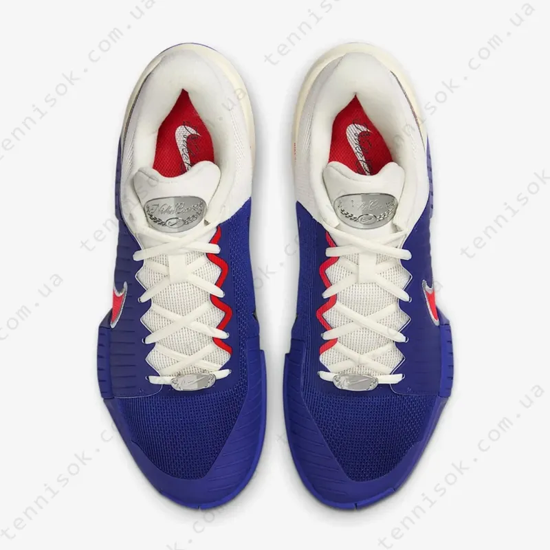 Тенісні кросівки Nike Zoom GP Challenge Pro HC HJ6767-500