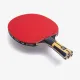 Ракетки для настольного тенниса Butterfly Timo Boll Force