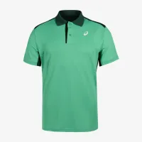Теннисное поло Asics Court Polo Shirt 2041A340-303