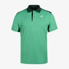 Теннисное поло Asics Court Polo Shirt 2041A340-303