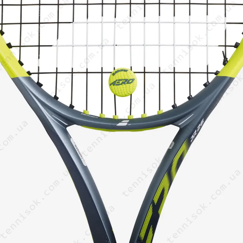 Виброгасители для теннисной ракетки Babolat Aero Damp 2P 700137/100