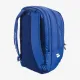 Теннисный рюкзак Babolat Court Hero Backpack 753112/102