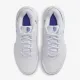 Тенісні кросівки Nike Court Lite 4 HC FD6575-500
