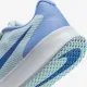 Теннисные кроссовки Nike Vapor Lite 3 HC FZ2156-400