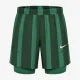 Теннисные шорты Nike Court Slam Dri-Fit Tennis Shorts FD5218-365
