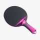 Ракетки для настольного тенниса Butterfly Outdoor Racket Black