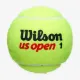 Теннисные мячи Wilson US Open Extra Duty 4ball