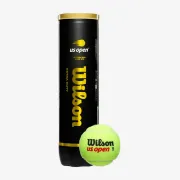 Мячи Wilson