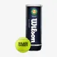 Теннисные мячи Wilson Roland Garros All Court 3ball