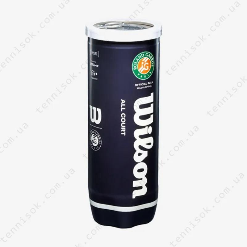 Теннисные мячи Wilson Roland Garros All Court 3ball