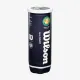 Теннисные мячи Wilson Roland Garros All Court 3ball