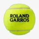 Теннисные мячи Wilson Roland Garros All Court 3ball