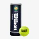 Теннисные мячи Wilson Roland Garros All Court 3ball