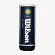 Теннисные мячи Wilson Roland Garros All Court 3ball