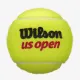 Теннисные мячи Wilson US Open Extra Duty 3ball