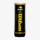 Теннисные мячи Wilson US Open Extra Duty 3ball
