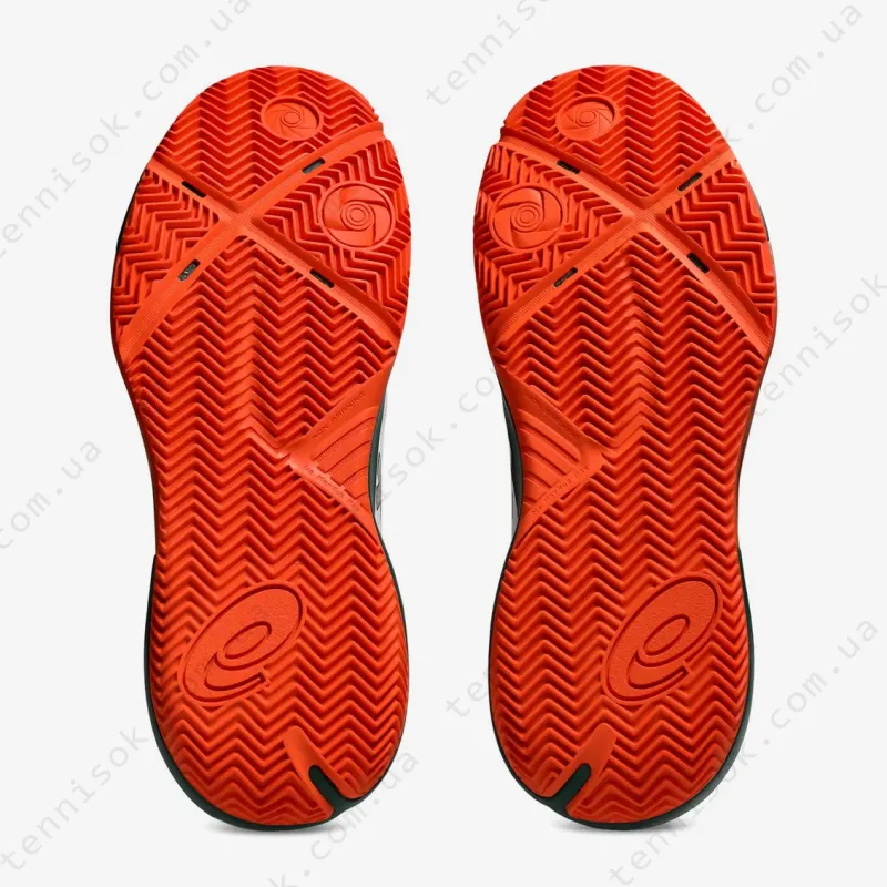 Теннисные кроссовки Asics Gel-Challenger 15 Padel 1041A511-102