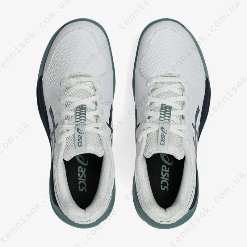 Теннисные кроссовки Asics Gel-Resolution X GS Clay 1044A080-103