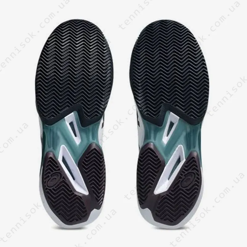 Теннисные кроссовки Asics Solution Speed FF 4 Clay 1041A533-102