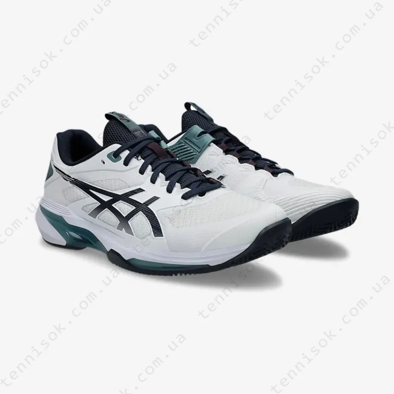 Теннисные кроссовки Asics Solution Speed FF 4 Clay 1041A533-102