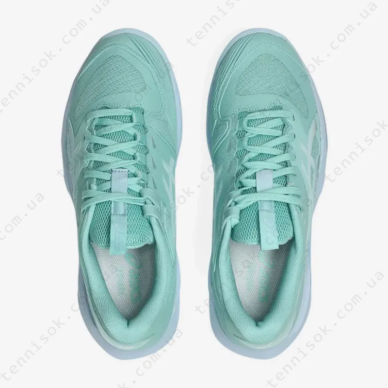 Теннисные кроссовки Asics Solution Speed FF 4 Clay 1042A305-300