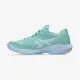 Теннисные кроссовки Asics Solution Speed FF 4 Clay 1042A305-300