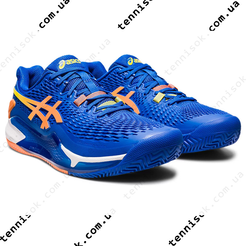 Тенісні кросівки Asics Gel-Resolution 9 Clay 1041A385-960