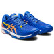 Теннисные кроссовки Asics Solution Speed FF 2 Clay 1041A390-960